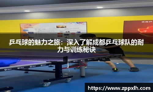 KY体育·(中国)官方网站