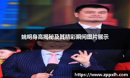 KY体育官方网站