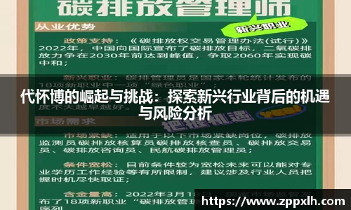 代怀博的崛起与挑战:探索新兴行业背后的机遇与风险分析